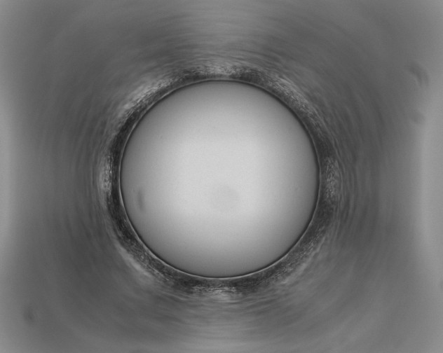 X0000113140683200909181730