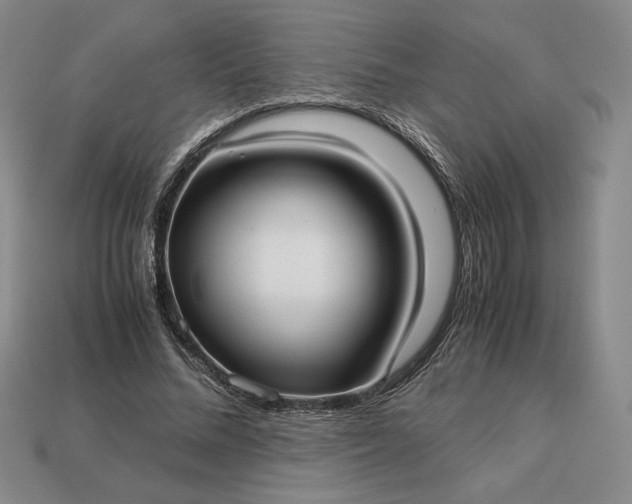 X0000113140684200909181730