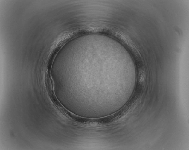 X0000113140685200909181730