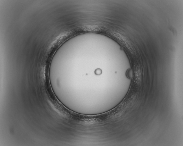 X0000113140686200909181730