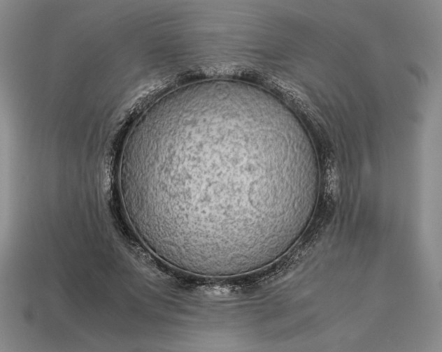 X0000113140687200909181730