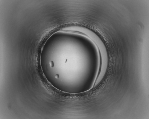 X0000113140688200909181730