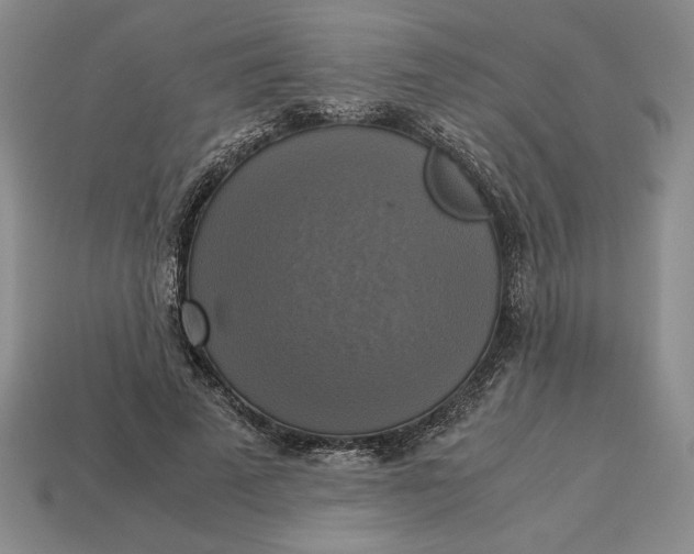 X0000113140689200909181730