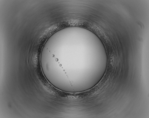 X0000113140690200909181730