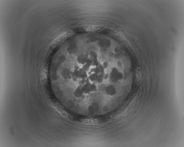 X0000113140691200909181730