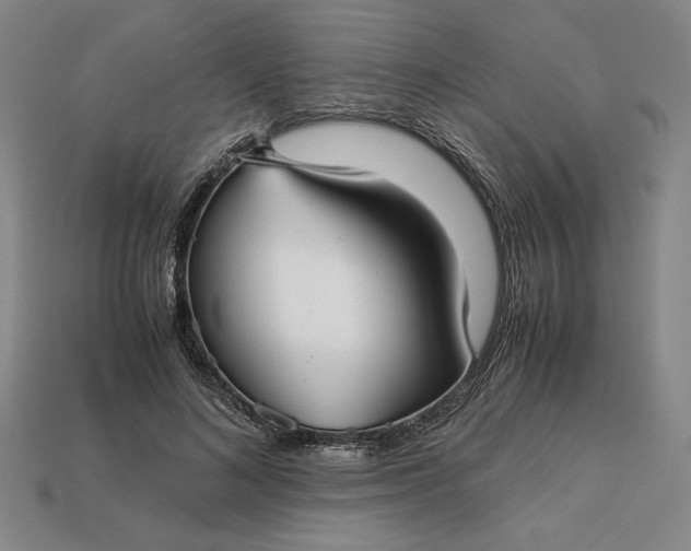 X0000113140692200909181730