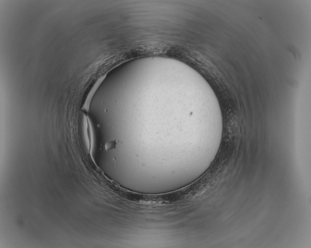 X0000113140693200909181730