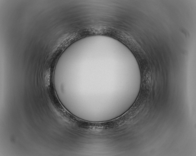 X0000113140694200909181730