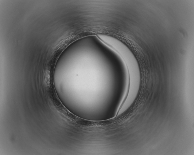 X0000113140696200909181730