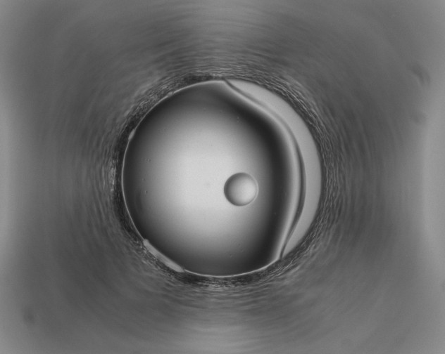 X0000113140697200909181730