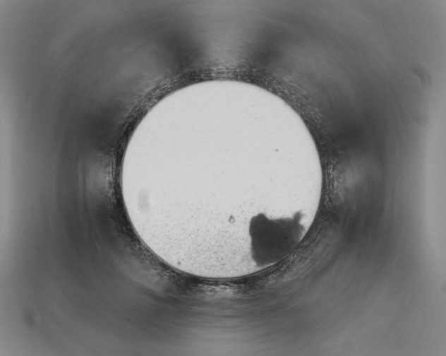 X0000113140698200909181730