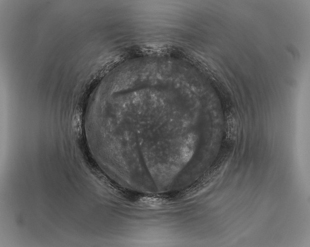 X0000113140699200909181730