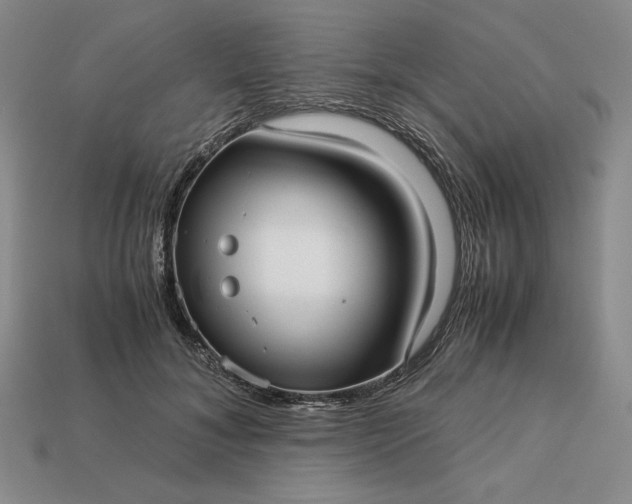 X0000113140700200909181730