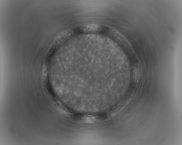 X0000113140701200909181729