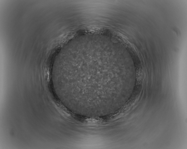 X0000113140703200909181729