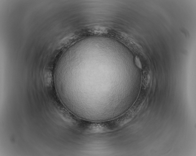 X0000113140704200909181729