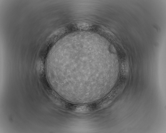 X0000113140705200909181729