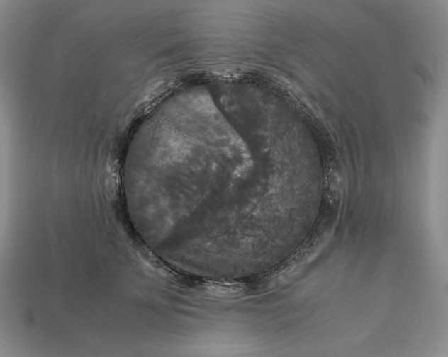 X0000113140707200909181729