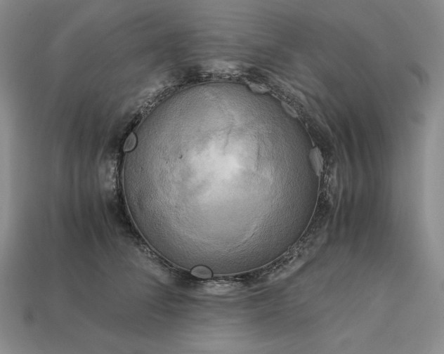 X0000113140708200909181729