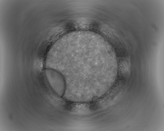 X0000113140709200909181729