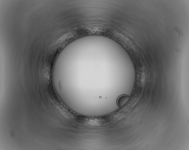 X0000113140710200909181729