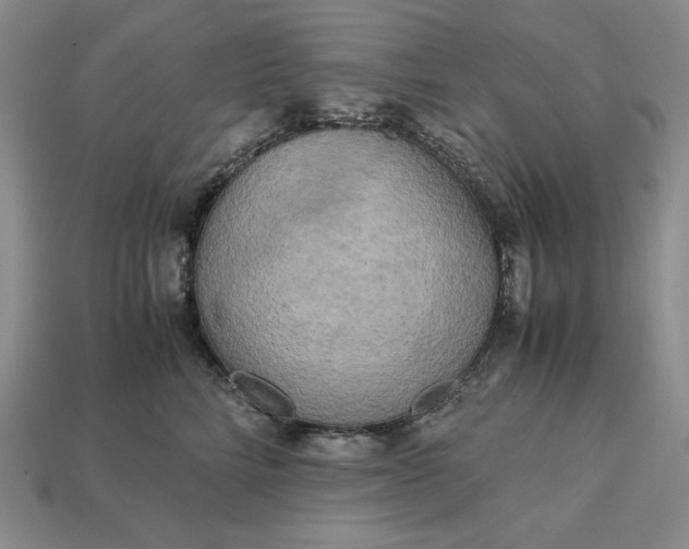 X0000113140712200909181729