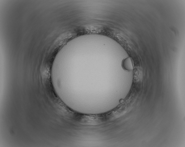 X0000113140713200909181729