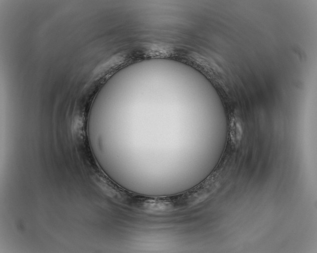 X0000113140714200909181729