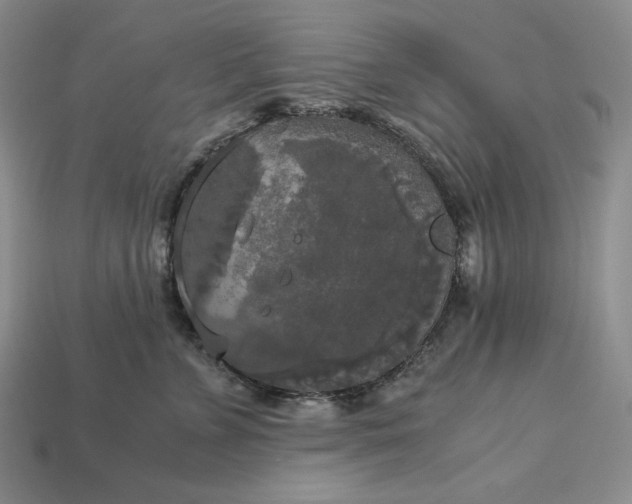 X0000113140715200909181729