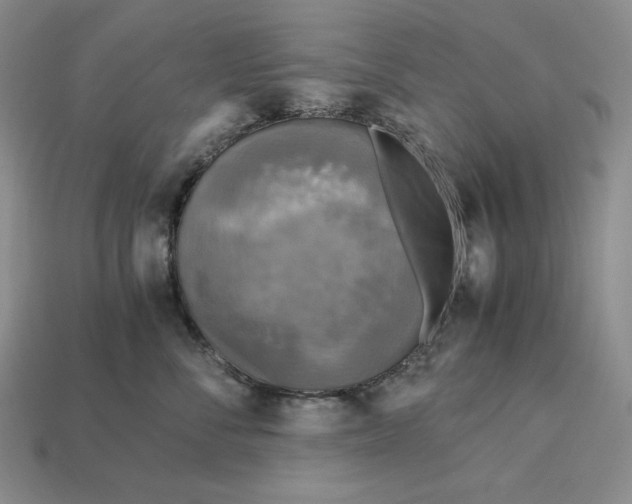 X0000113140716200909181729