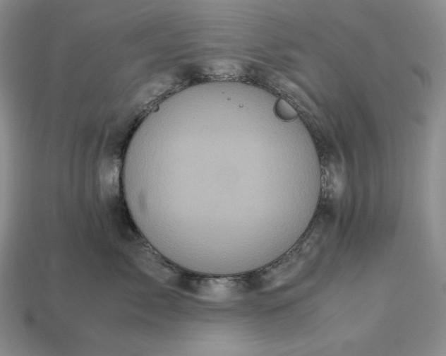 X0000113140717200909181729