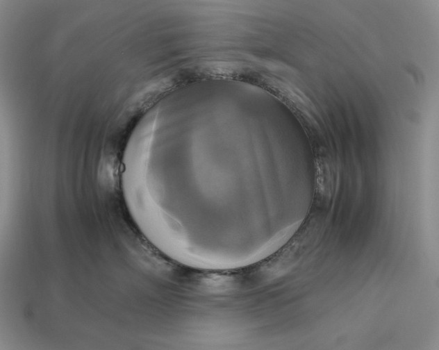 X0000113140718200909181729