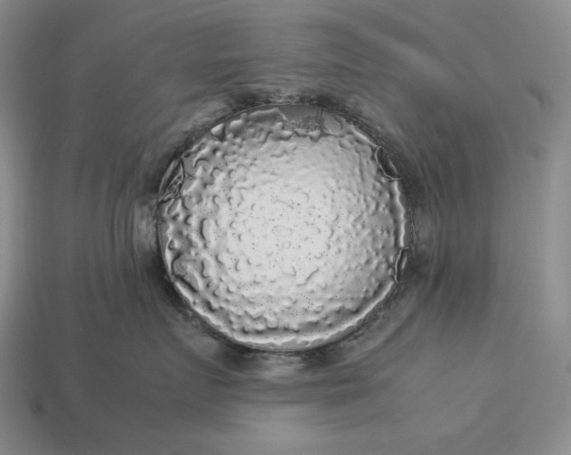 X0000113140719200909181729