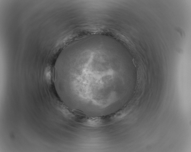 X0000113140720200909181729