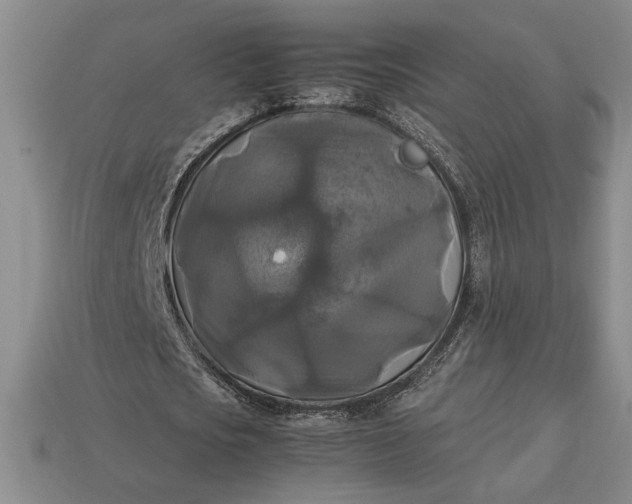 X0000113140721200909181729