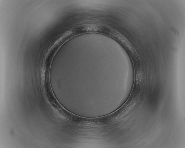 X0000113140722200909181729