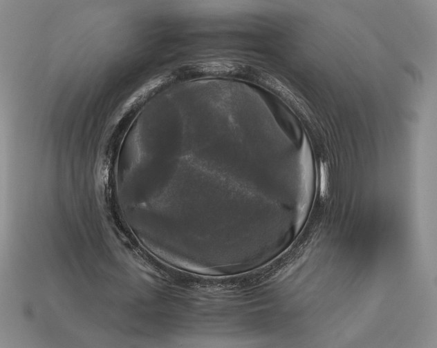 X0000113140723200909181729