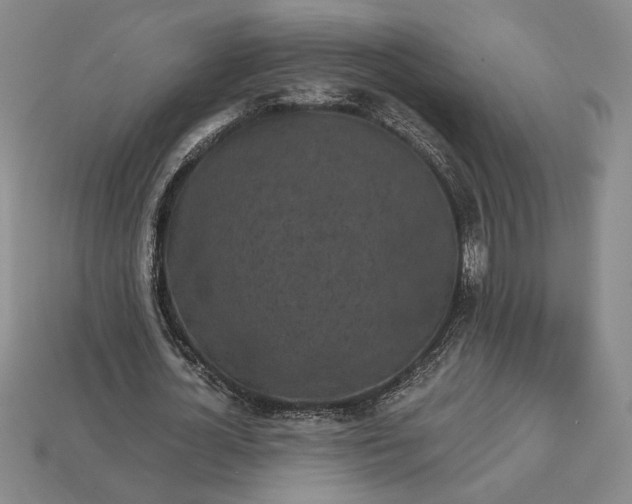 X0000113140724200909181729