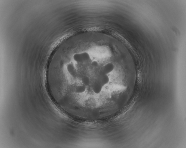 X0000113140725200909181729