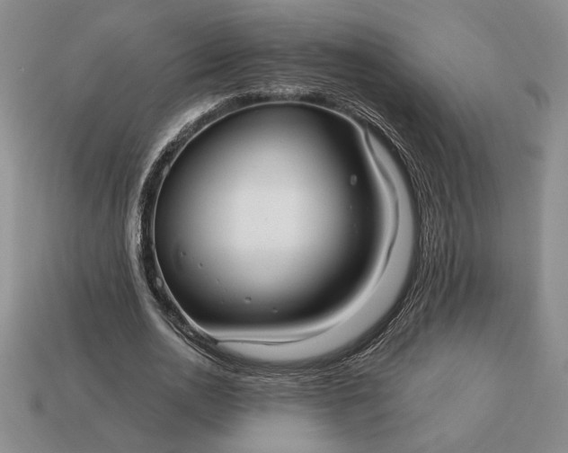 X0000113140726200909181729