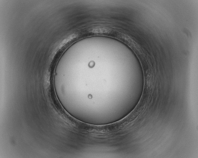 X0000113140727200909181729