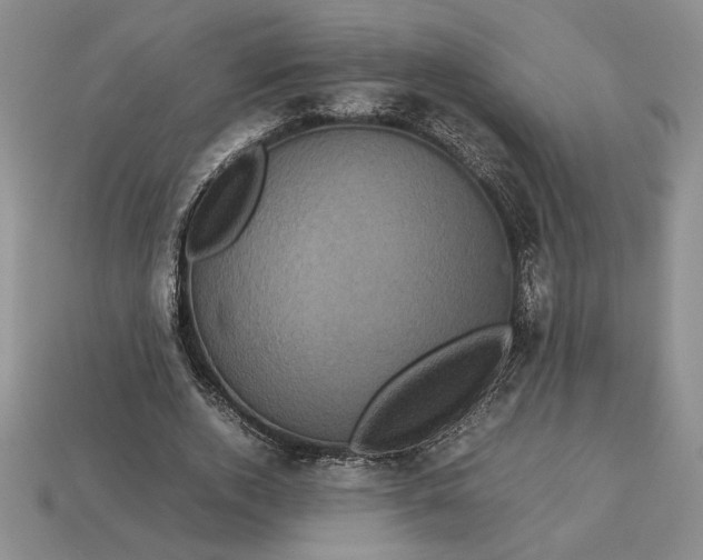 X0000113140728200909181729