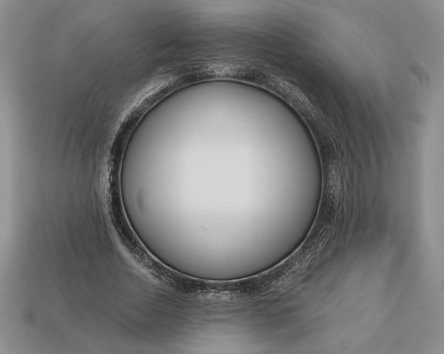 X0000113140730200909181729