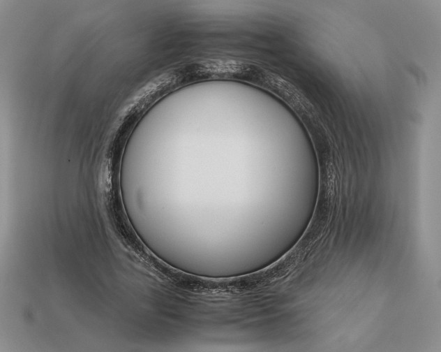 X0000113140731200909181729