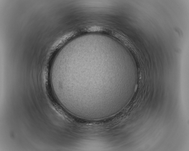 X0000113140732200909181729