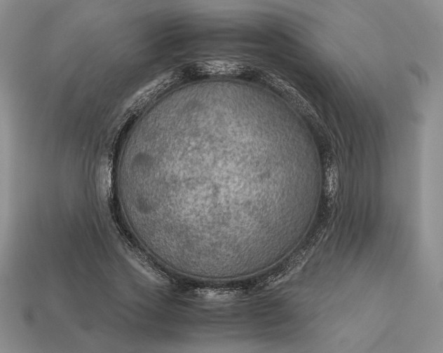 X0000113140733200909181729