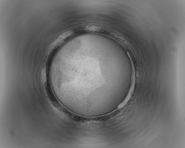 X0000113140734200909181729