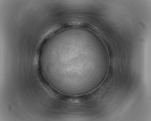 X0000113140735200909181729