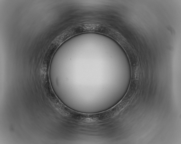 X0000113140737200909181729