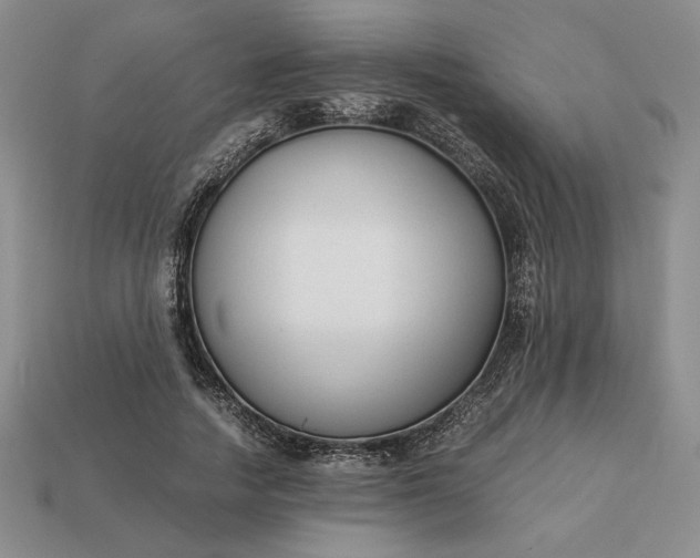 X0000113140738200909181729